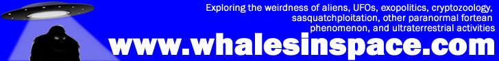 whales in space logo